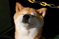 开云体育-新王登基，切特制胜一击助国王力克魔术，锁定争冠战关键胜局