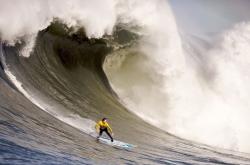 开云平台-猛龙完胜雄鹿，詹姆斯成为关键先生，一场颠覆预期的东部巅峰对决