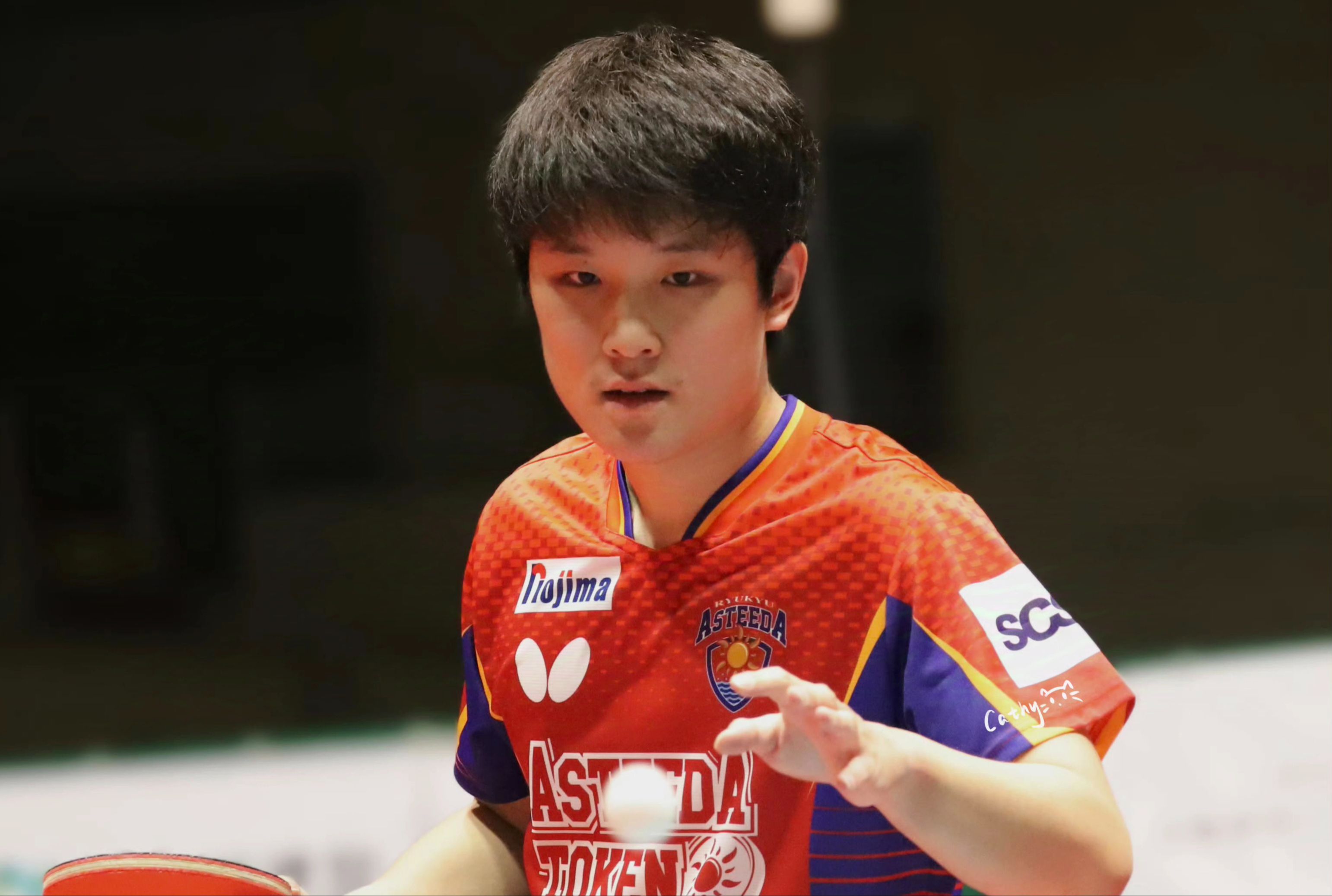 英国乒乓球队轻取波兰乒乓球队,张本智和高光表现的简单介绍 英国乒乓球队轻取波兰乒乓球队,张本智和高光表现的简单介绍