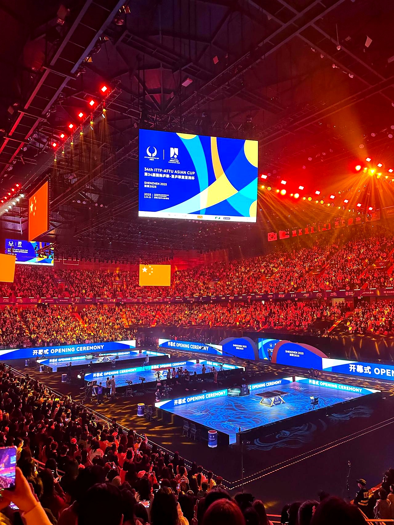 竞技场上绽放光彩，夺冠成名