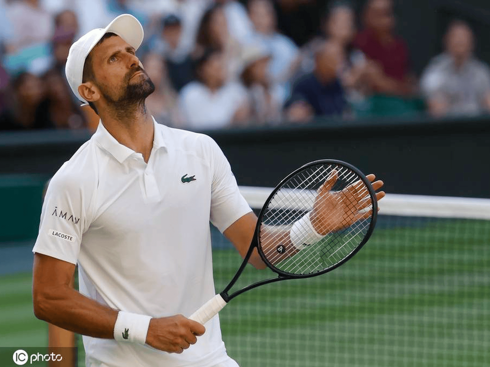 关于英国网球队强势意大利网球队，德约科维奇绝境逆转的信息