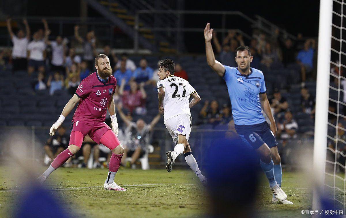 包含纽卡斯尔客场战平南安普顿，保持不败的词条