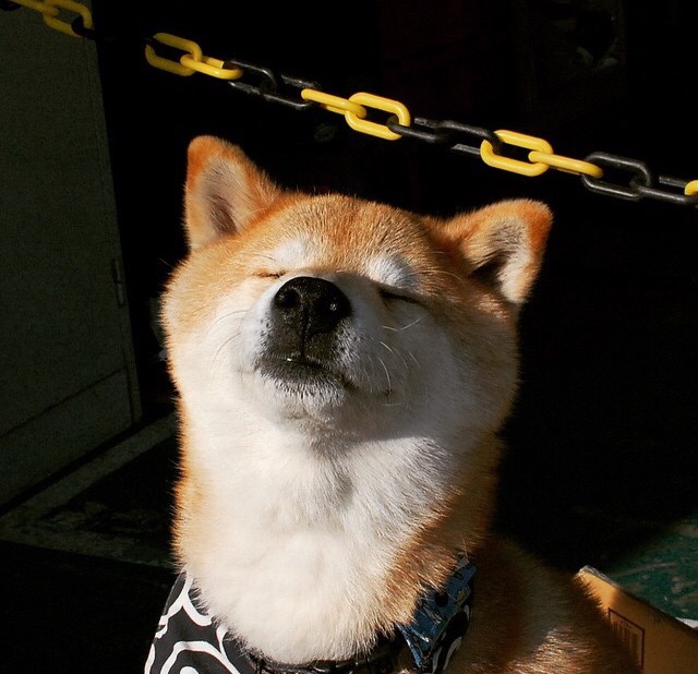 新王登基,切特制胜一击助国王力克魔术,锁定争冠战关键胜局