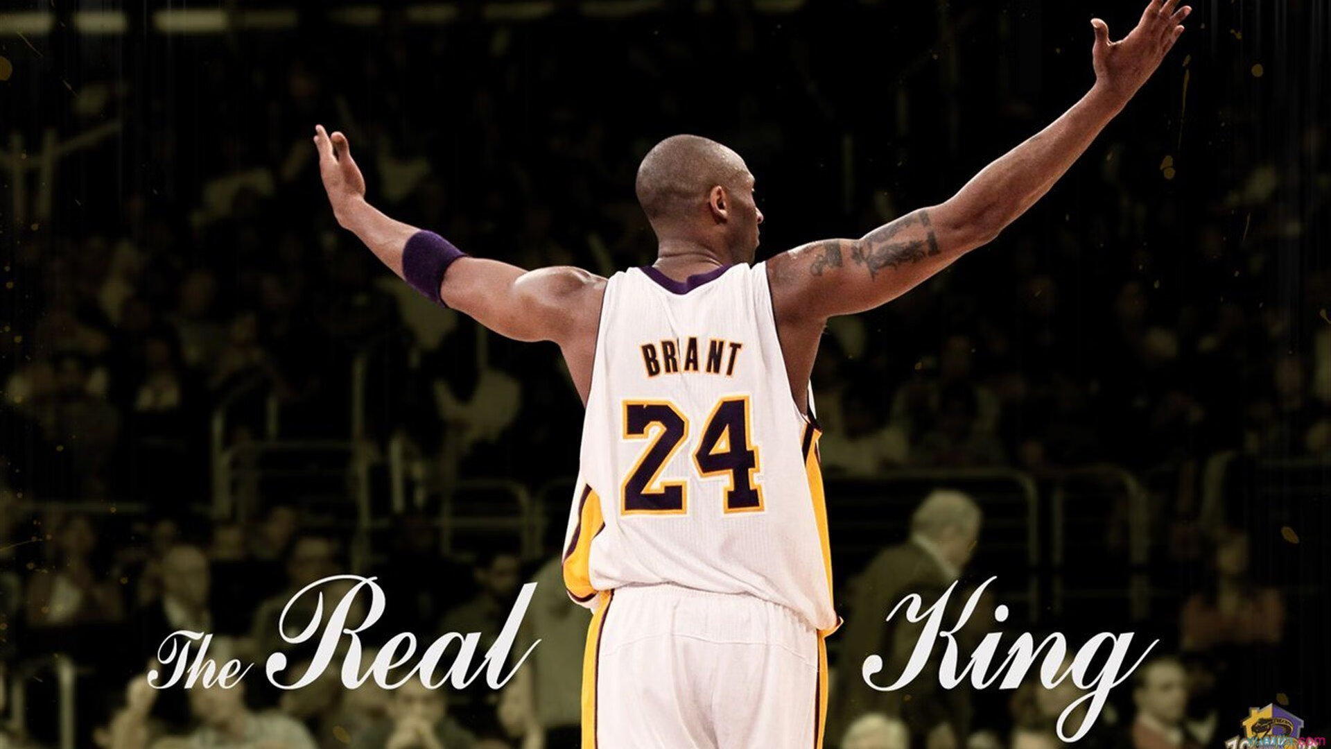 广厦队碾压步行者，浓眉成为关键先生